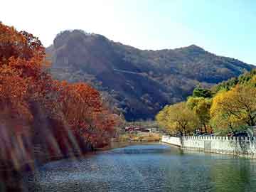 管家婆黑白马报图库，海南黄花梨木价格